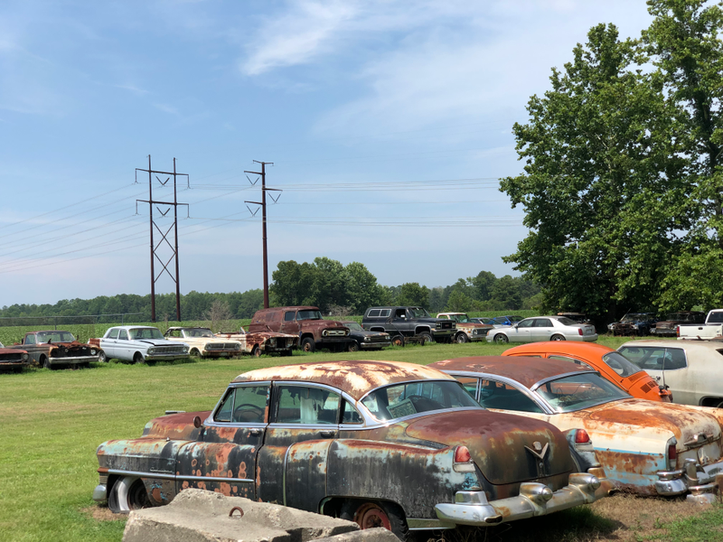 Illustration for article titled Vehicles of North Carolina